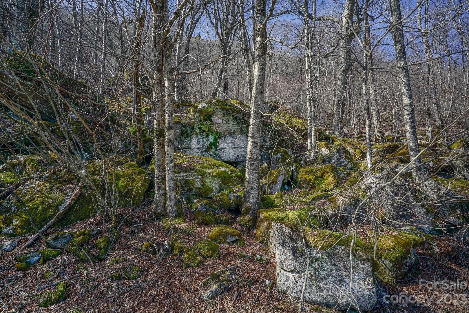 Tbd Village Road Beech Mountain, NC 28604 - Photo 16 of 27 Gallery Image 16