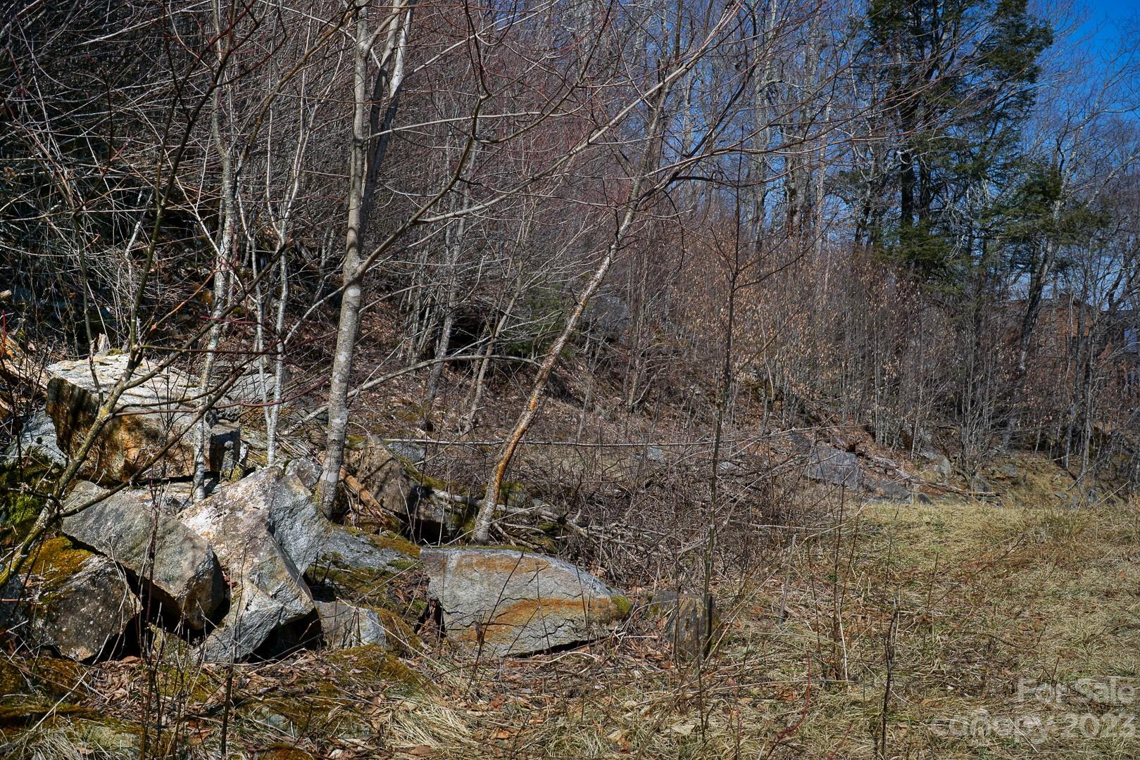 Tbd Village Road Beech Mountain, NC 28604 - Photo 17 of 27 Gallery Image 17