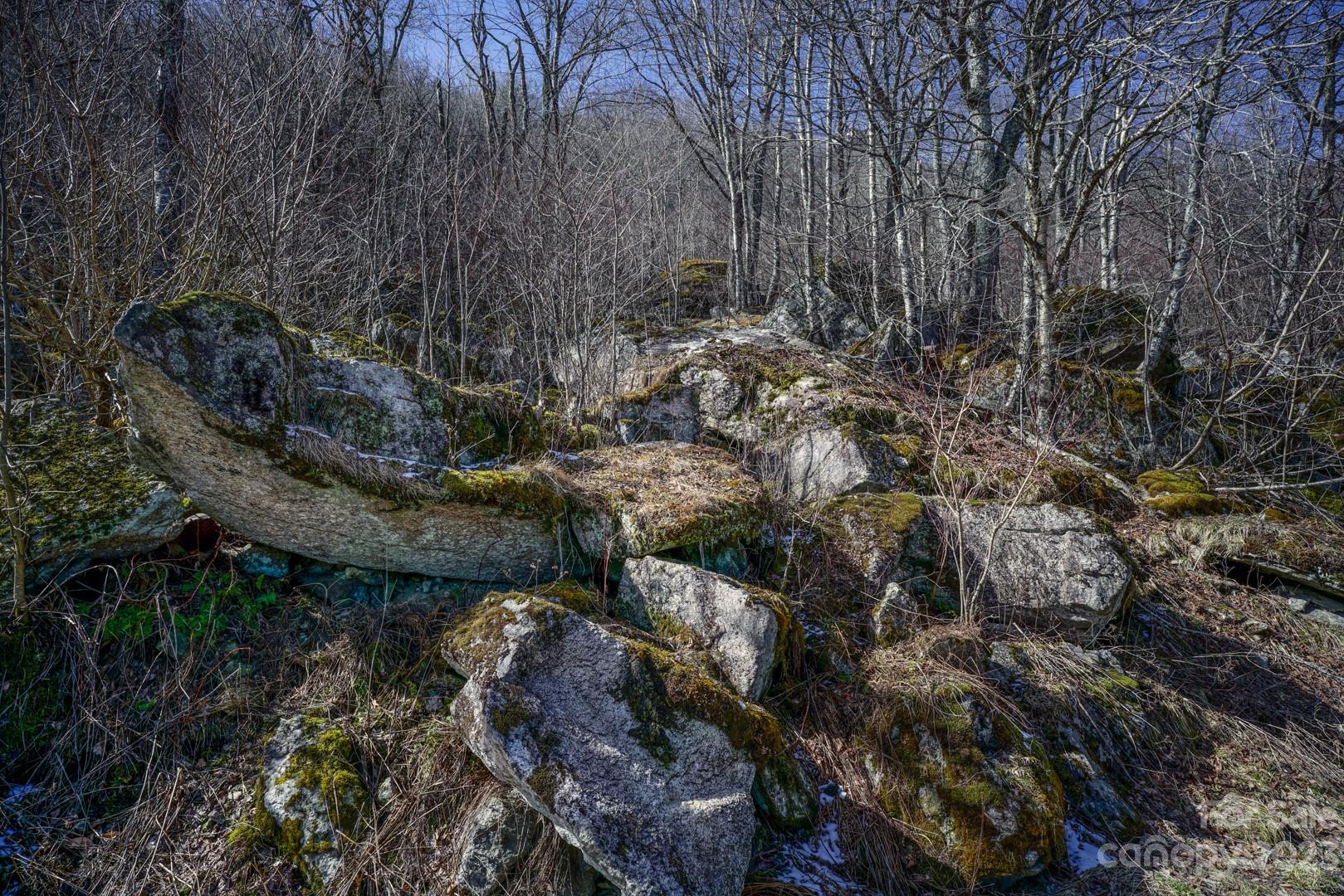 Tbd Village Road Beech Mountain, NC 28604 - Photo 22 of 27 Gallery Image 22