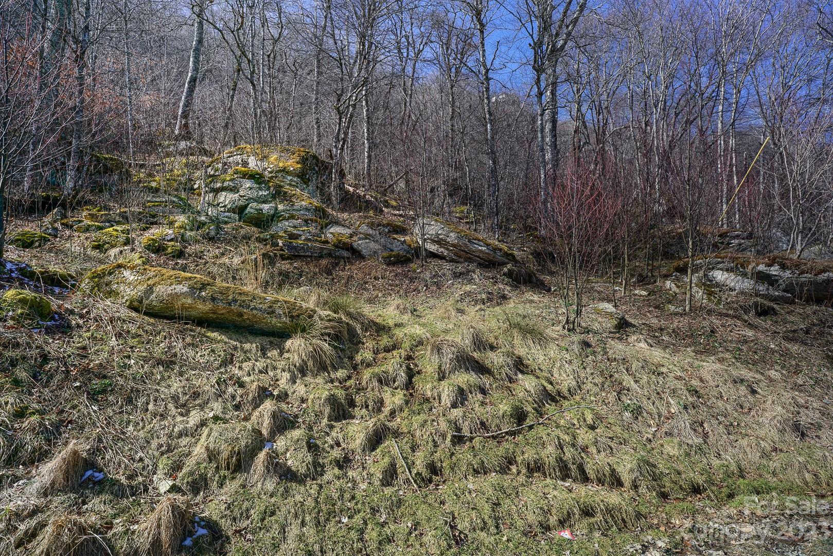 Tbd Village Road Beech Mountain, NC 28604 - Photo 23 of 27 Gallery Image 23