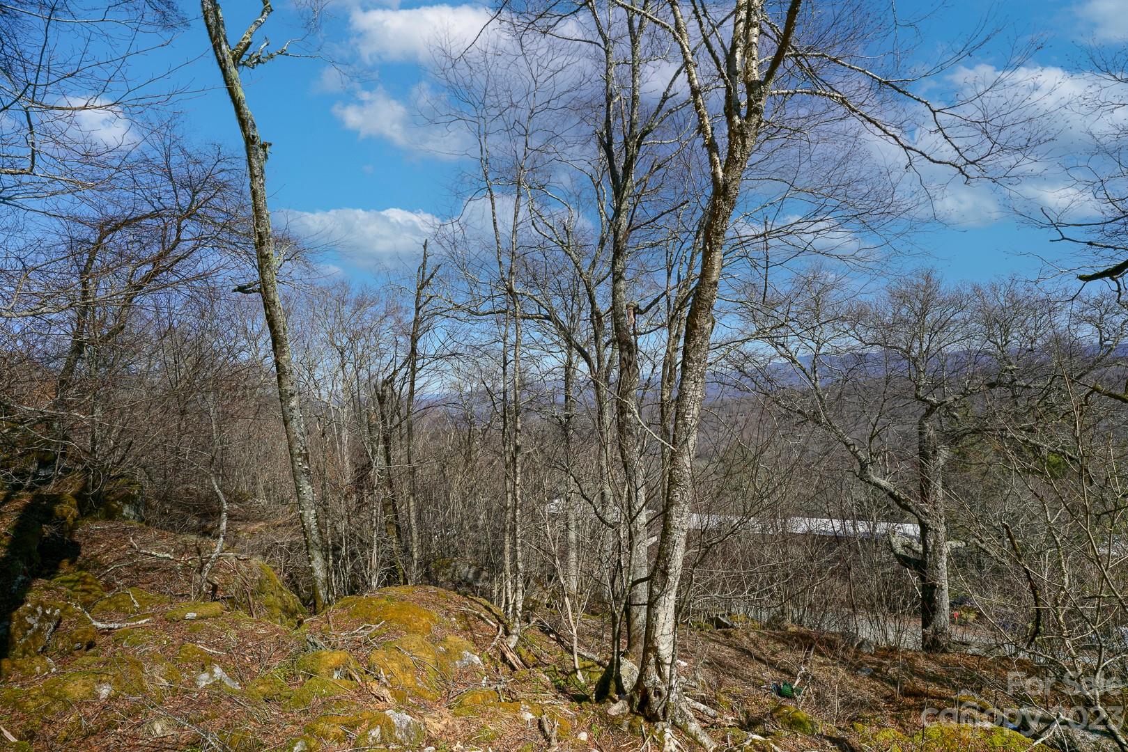 Tbd Village Road Beech Mountain, NC 28604 - Photo 24 of 27 Gallery Image 24