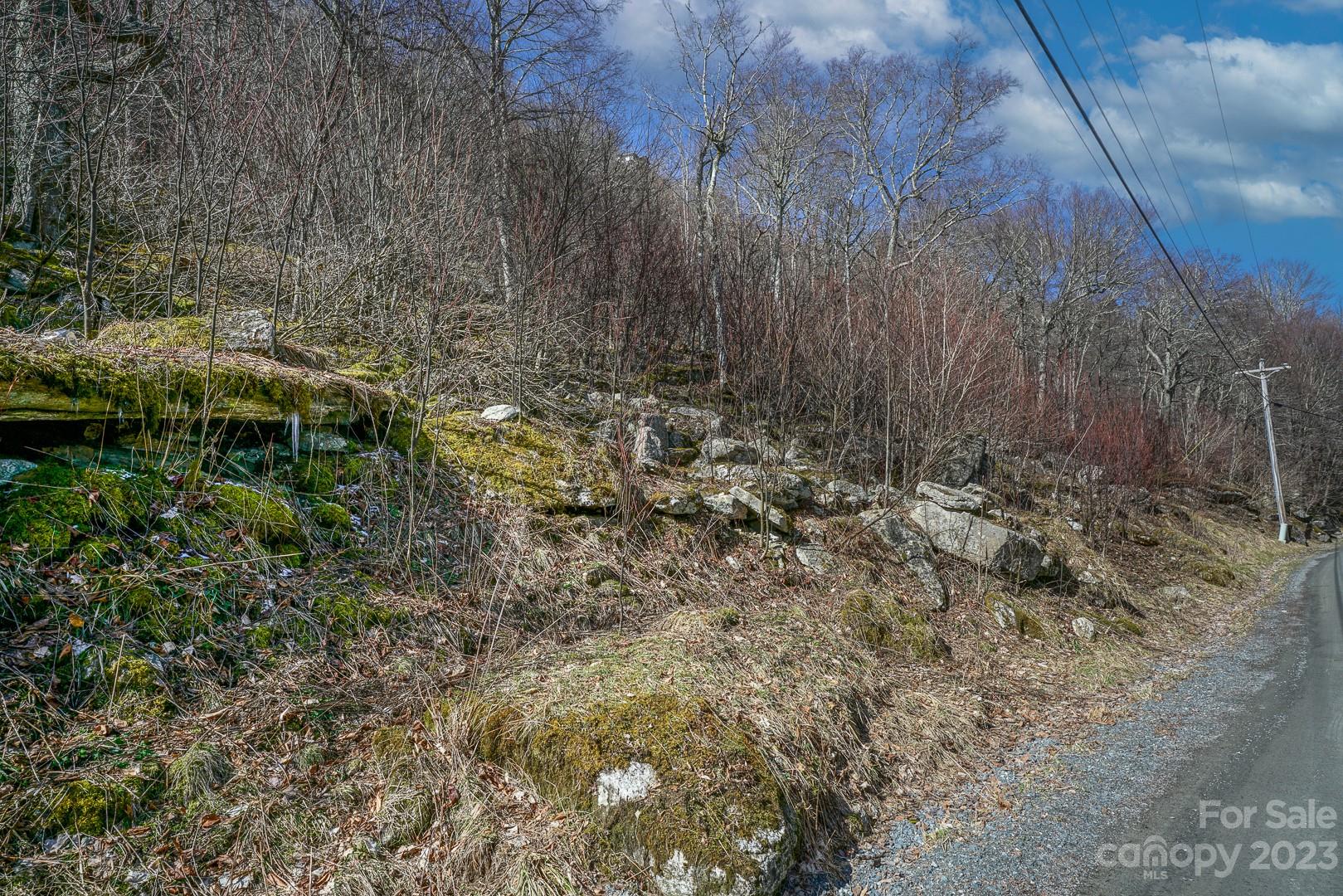 Tbd Village Road Beech Mountain, NC 28604 - Photo 26 of 27 Gallery Image 26