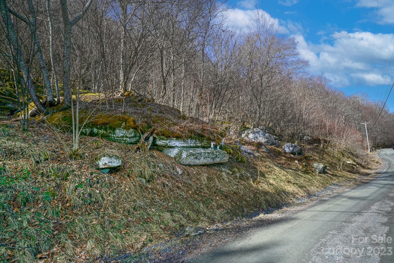 Tbd Village Road Beech Mountain, NC 28604 - Photo 27 of 27 Gallery Image 27