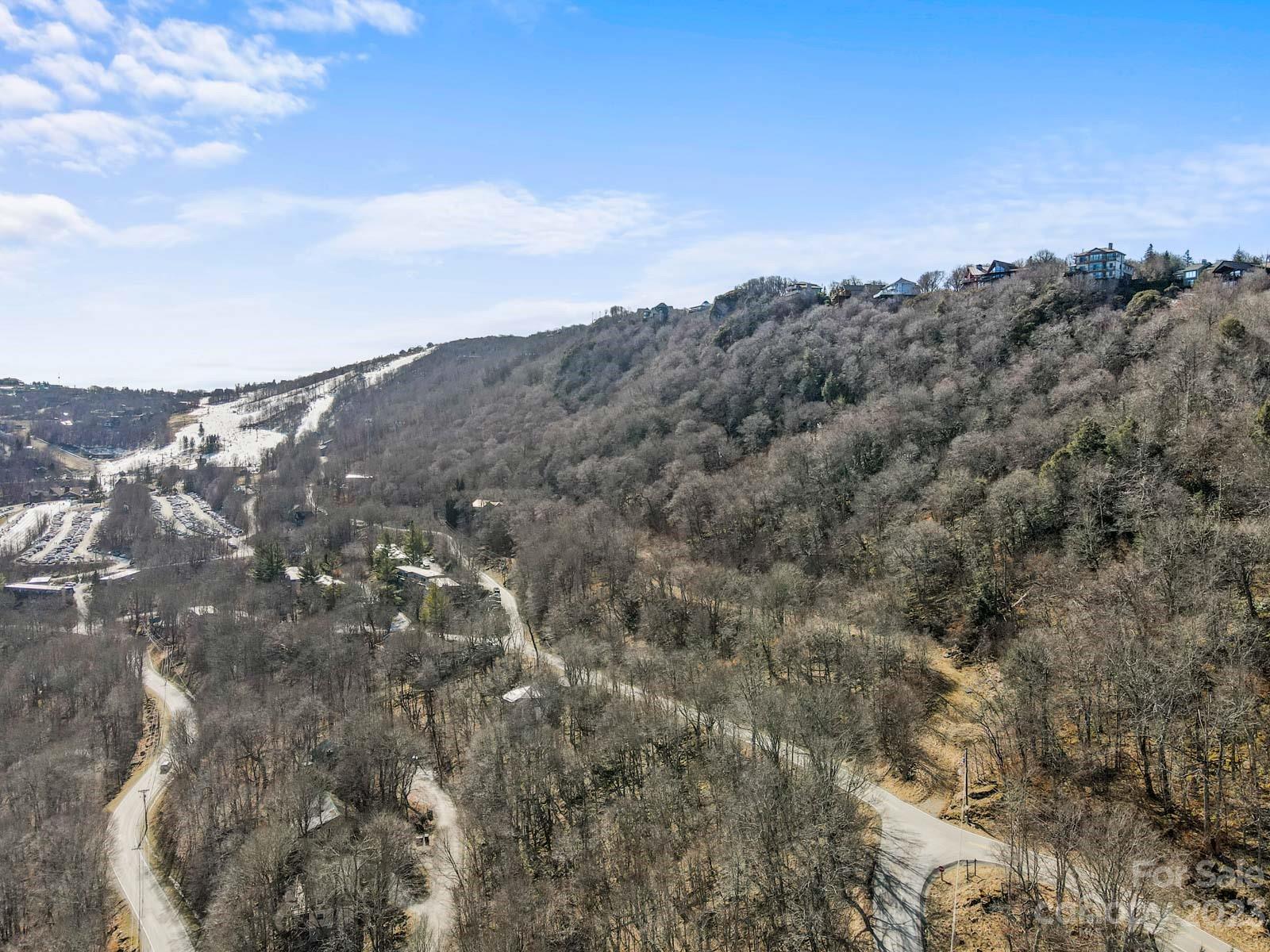 Tbd Village Road Beech Mountain, NC 28604 - Photo 3 of 27 Gallery Image 3