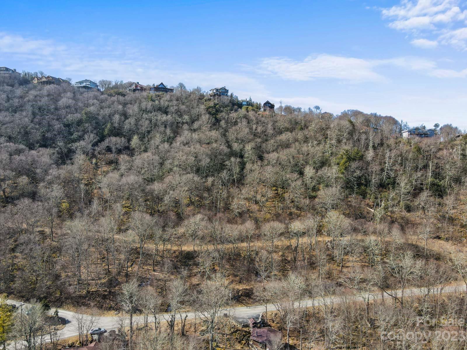 Tbd Village Road Beech Mountain, NC 28604 - Photo 5 of 27 Gallery Image 5