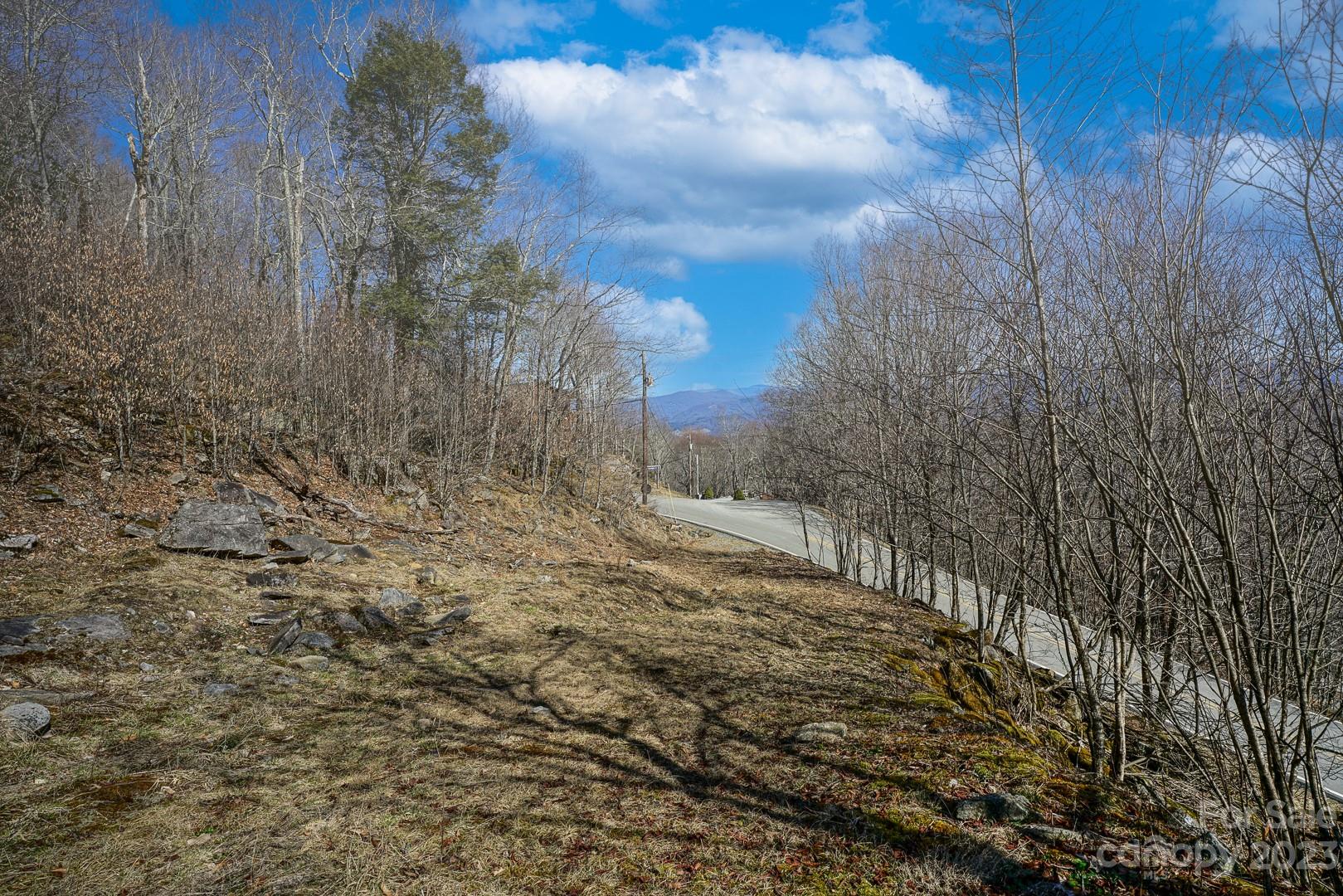 Tbd Village Road Beech Mountain, NC 28604 - Photo 6 of 27 Gallery Image 6