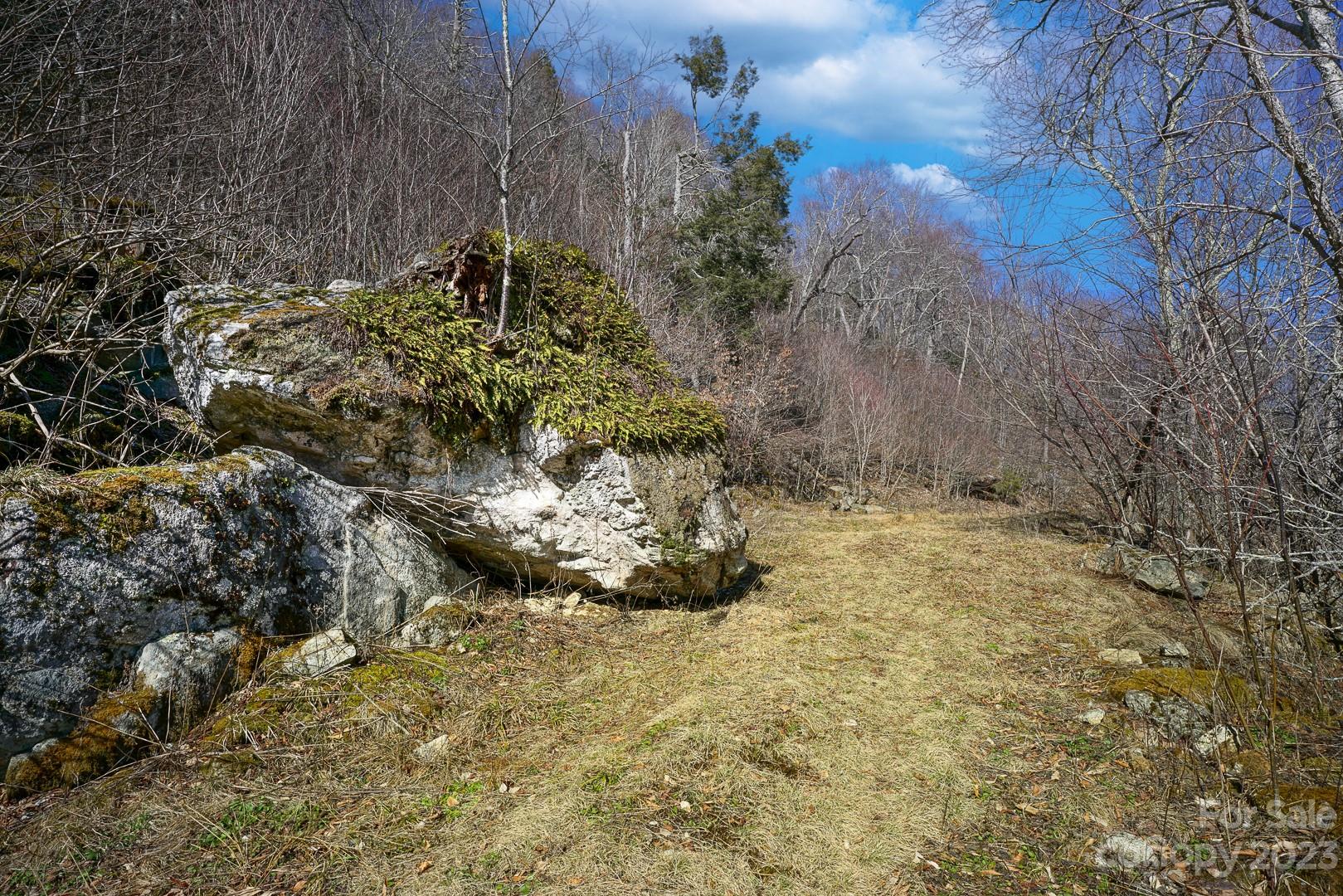 Tbd Village Road Beech Mountain, NC 28604 - Photo 10 of 27 Gallery Image 10