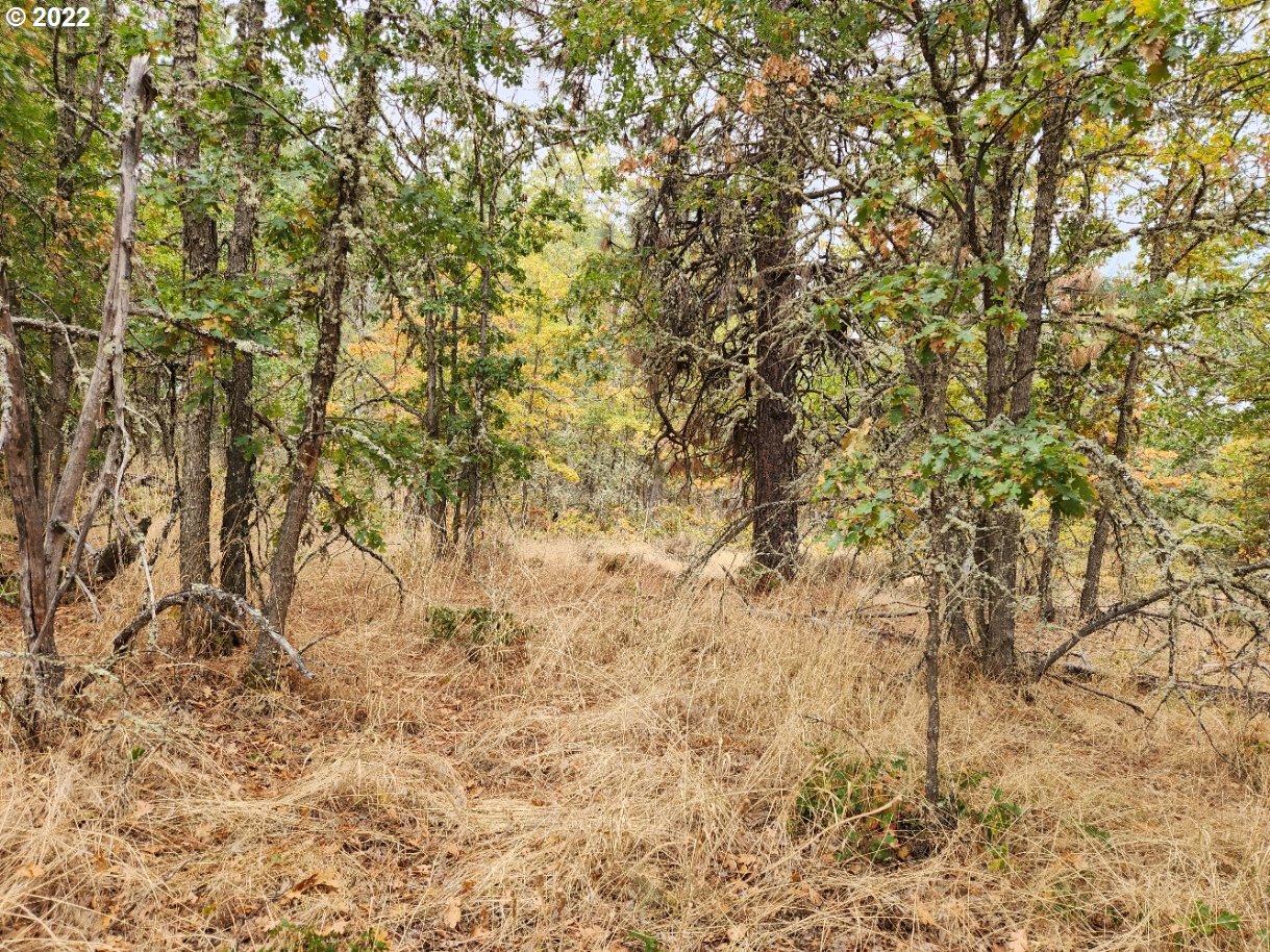 896 Counts Road Goldendale, WA 98620 - Photo 12 of 24 Gallery Image 12