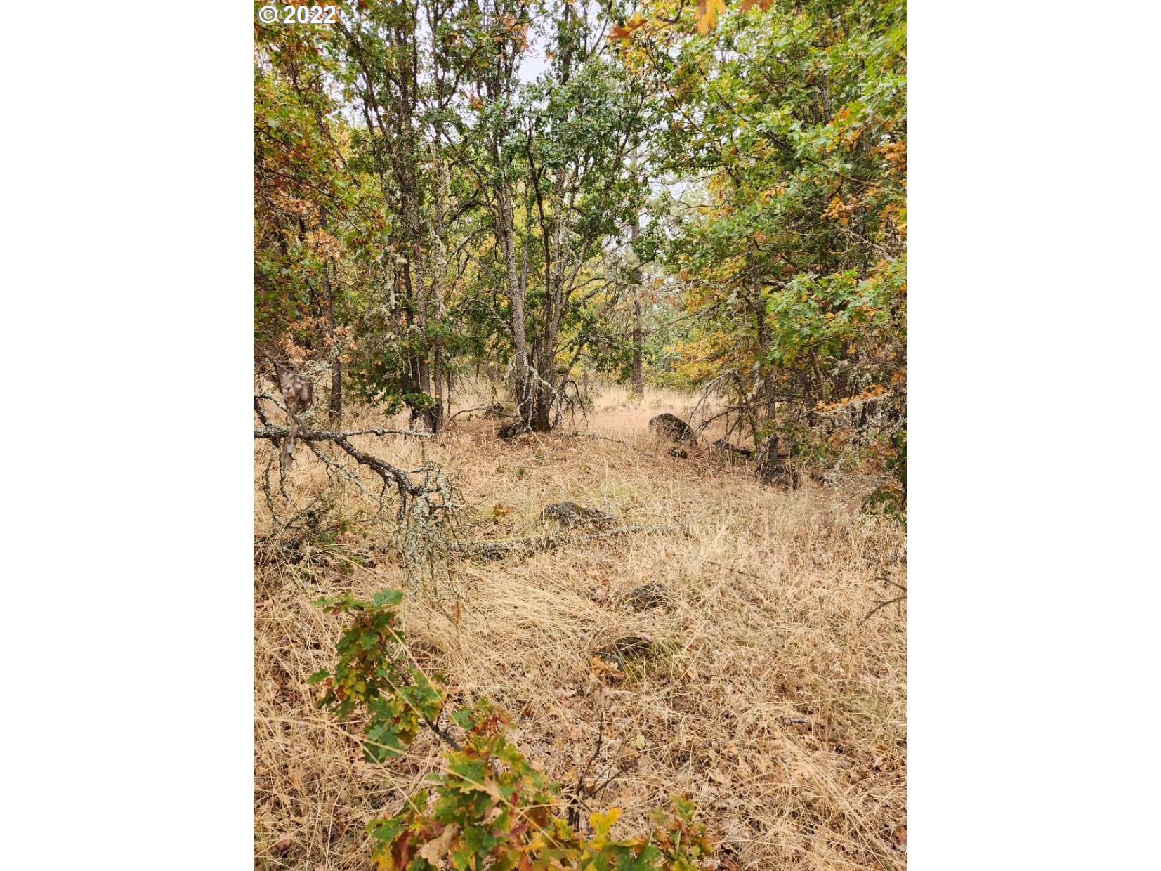 896 Counts Road Goldendale, WA 98620 - Photo 18 of 24 Gallery Image 18