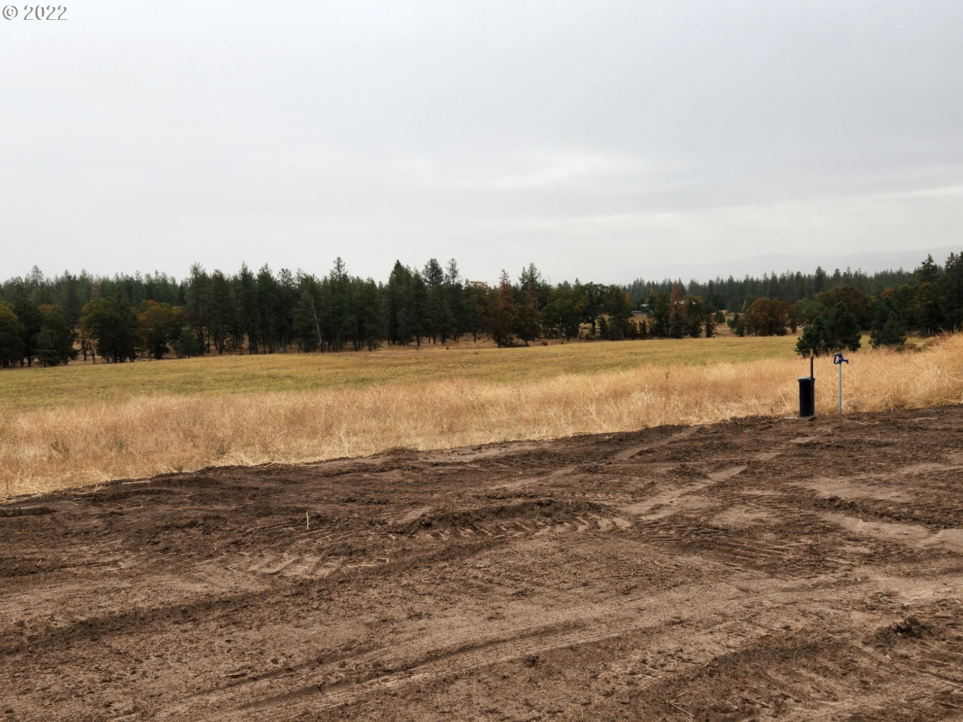 896 Counts Road Goldendale, WA 98620 - Photo 19 of 24 Gallery Image 19