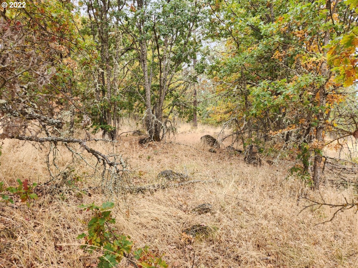 896 Counts Road Goldendale, WA 98620 - Photo 23 of 24 Gallery Image 23