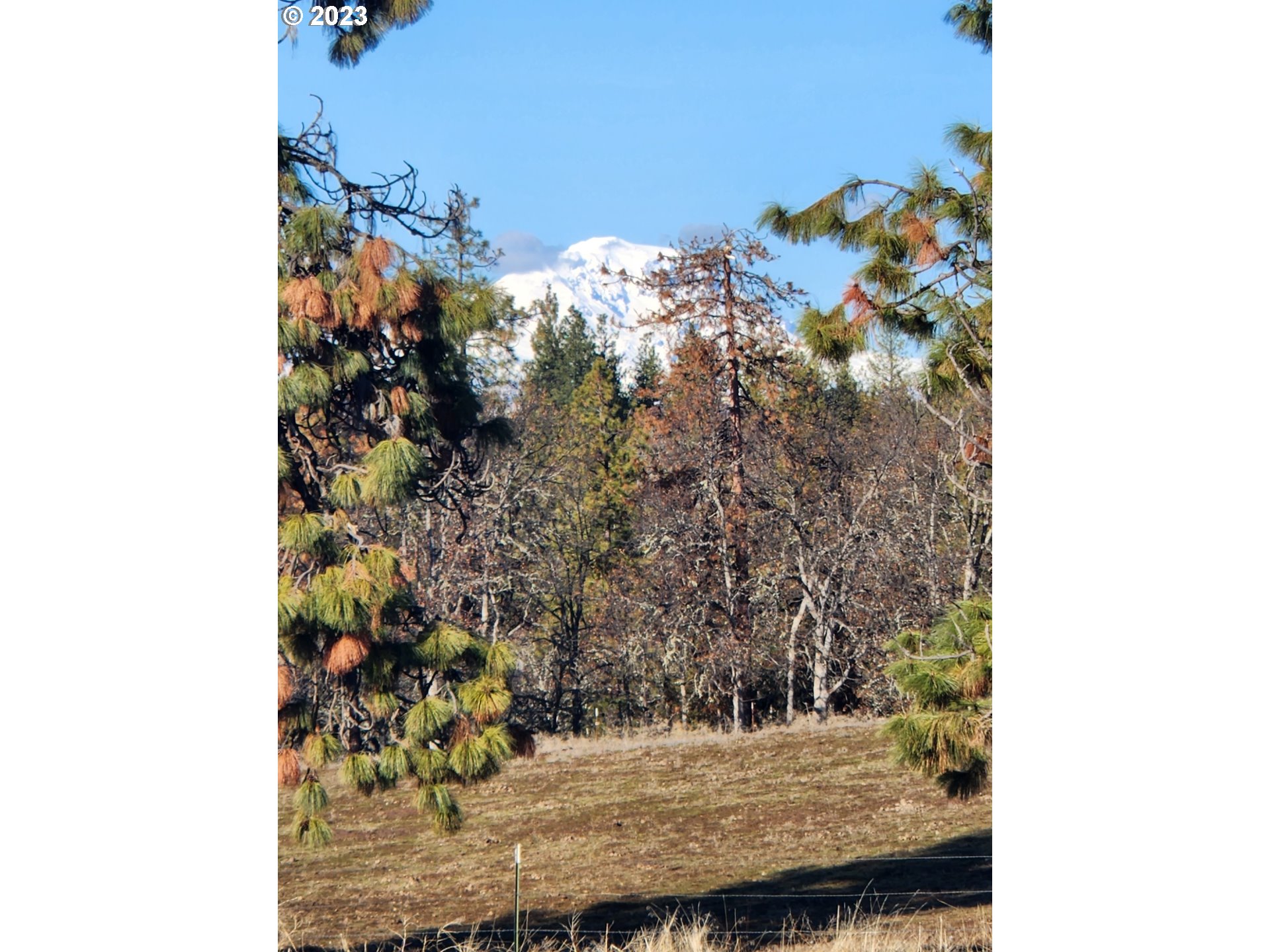 896 Counts Road Goldendale, WA 98620 - Photo 24 of 24 Gallery Image 24