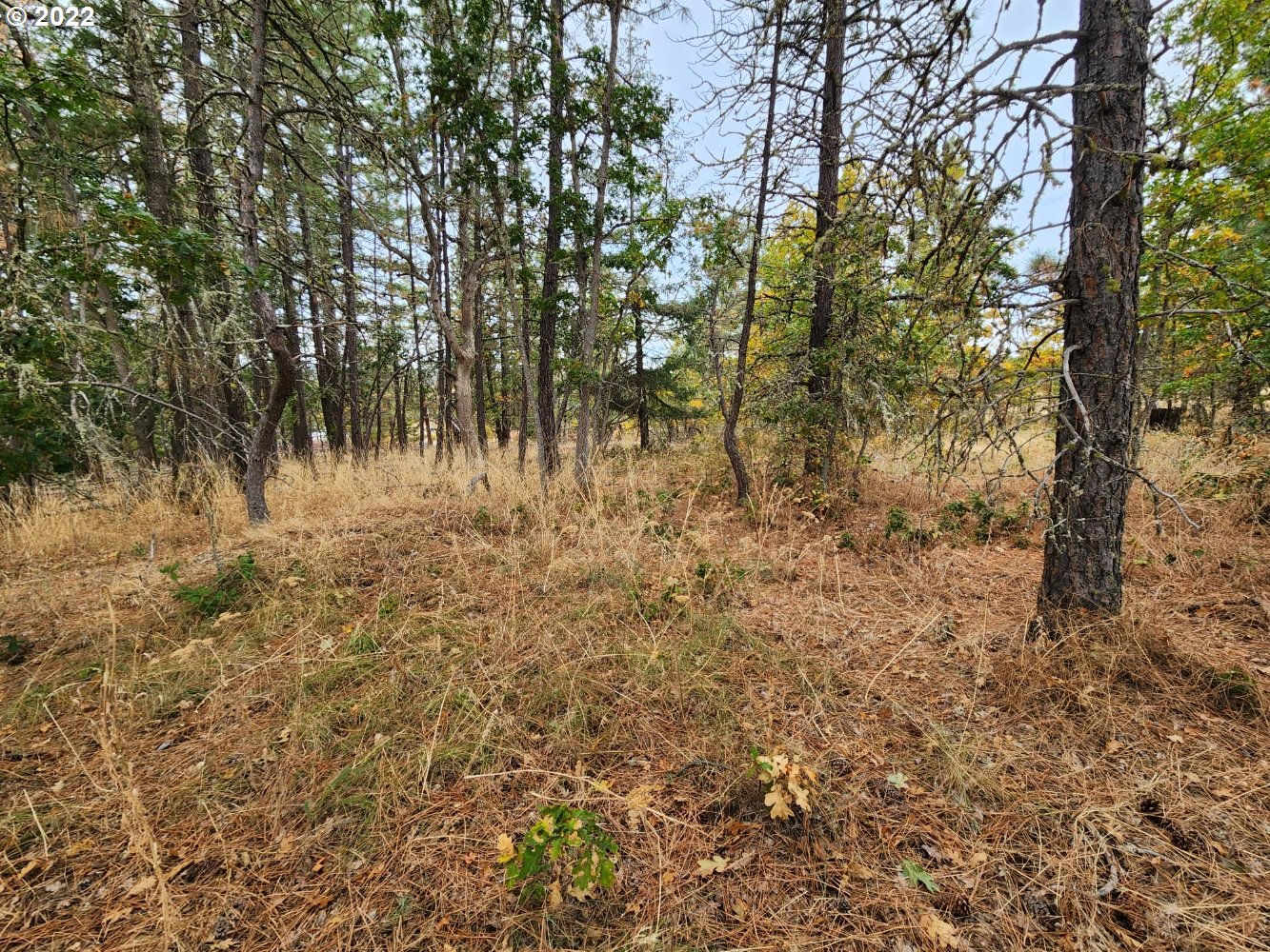 896 Counts Road Goldendale, WA 98620 - Photo 10 of 24 Gallery Image 10
