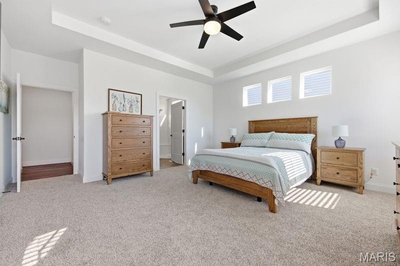 8012 Cotswald Trail Cottleville, MO 63304 - Photo 22 of 48