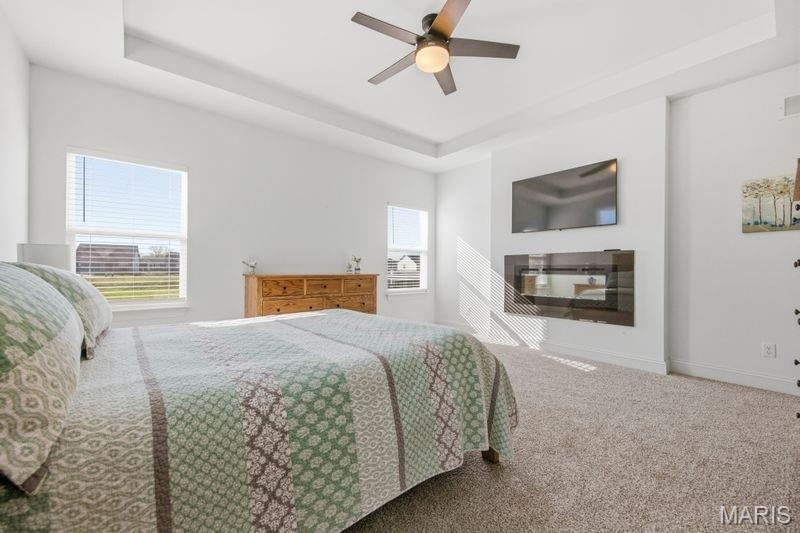 8012 Cotswald Trail Cottleville, MO 63304 - Photo 23 of 48