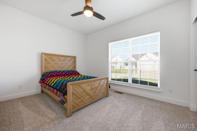 8012 Cotswald Trail Cottleville, MO 63304 - Photo 27 of 48