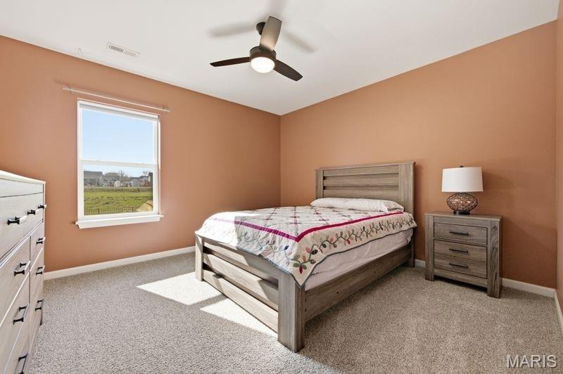 8012 Cotswald Trail Cottleville, MO 63304 - Photo 38 of 48