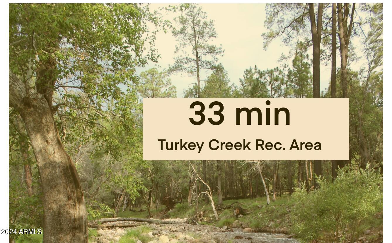 Lot 213 Tyree Road, Unit 213 Pearce, AZ 85625 - Photo 33 of 36 Nearby Turkey Creek