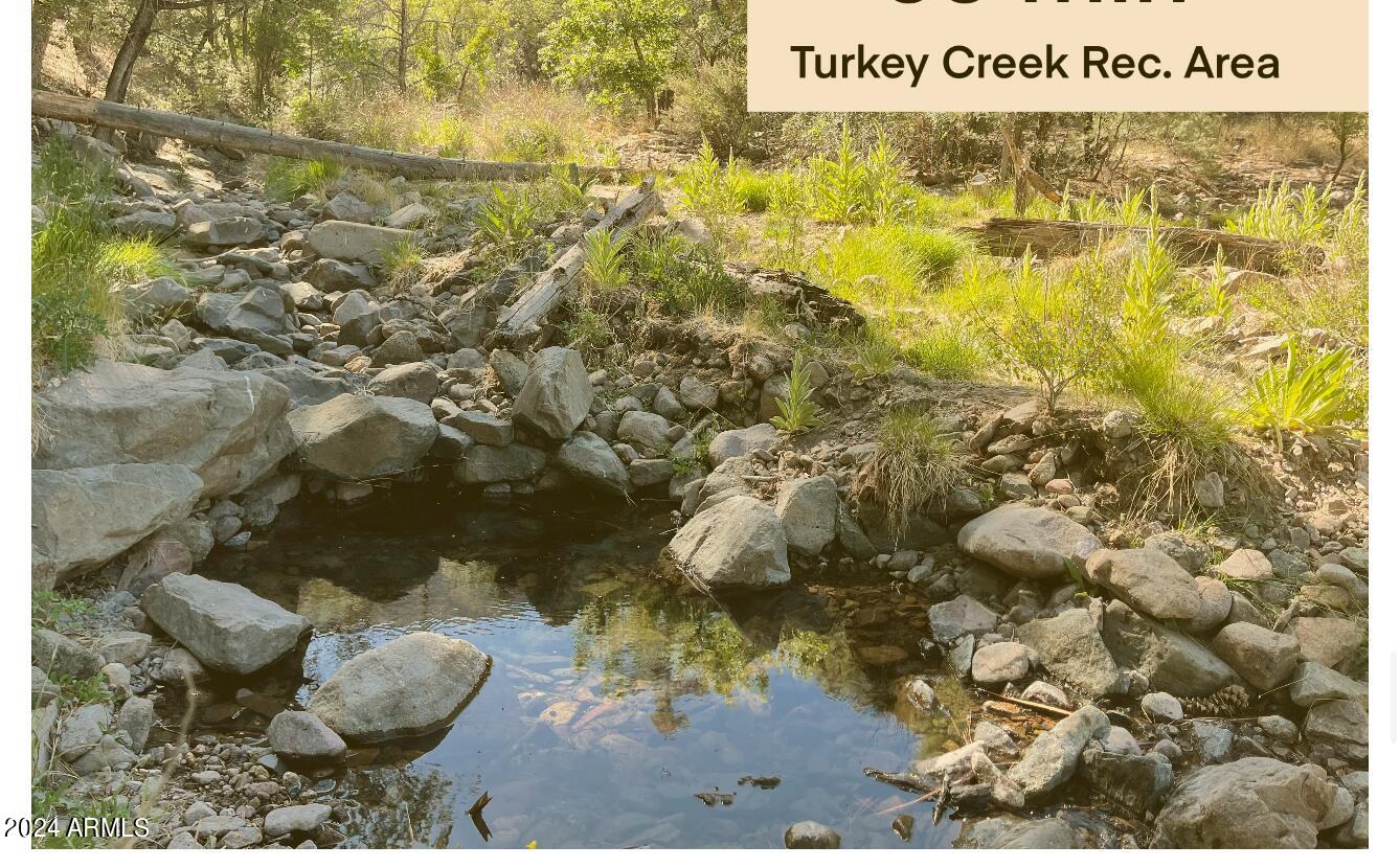 Lot 213 Tyree Road, Unit 213 Pearce, AZ 85625 - Photo 34 of 36 Nearby Turkey Creek