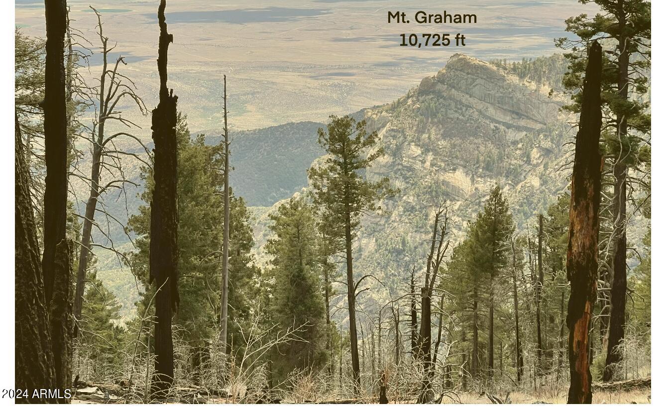 Lot 213 Tyree Road, Unit 213 Pearce, AZ 85625 - Photo 35 of 36 Mt Graham within a couple hours drive