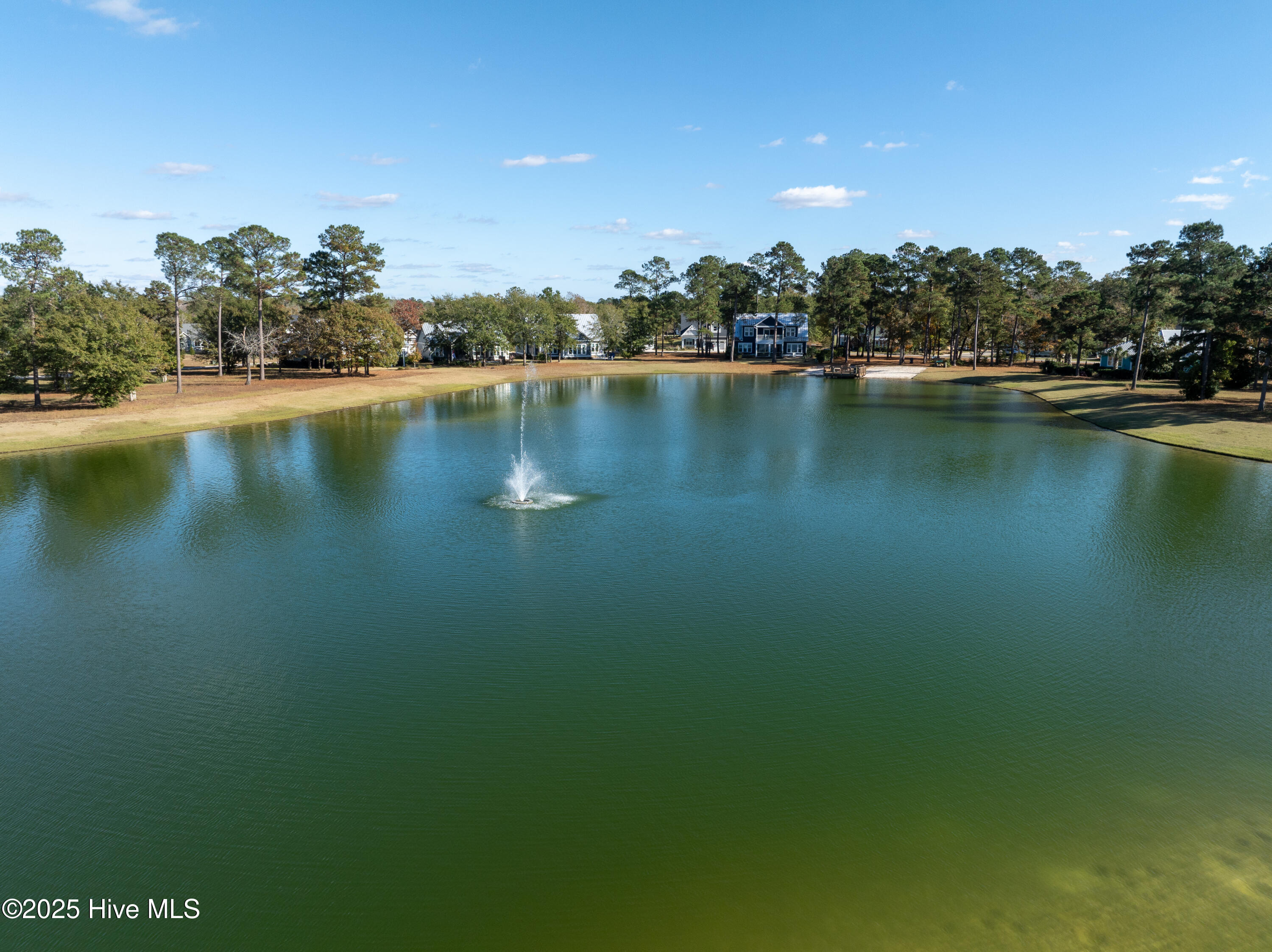 3672 Rivergate Way Northeast Leland, NC 28451 - Photo 7 of 16 Bluffs Neighborhood -4