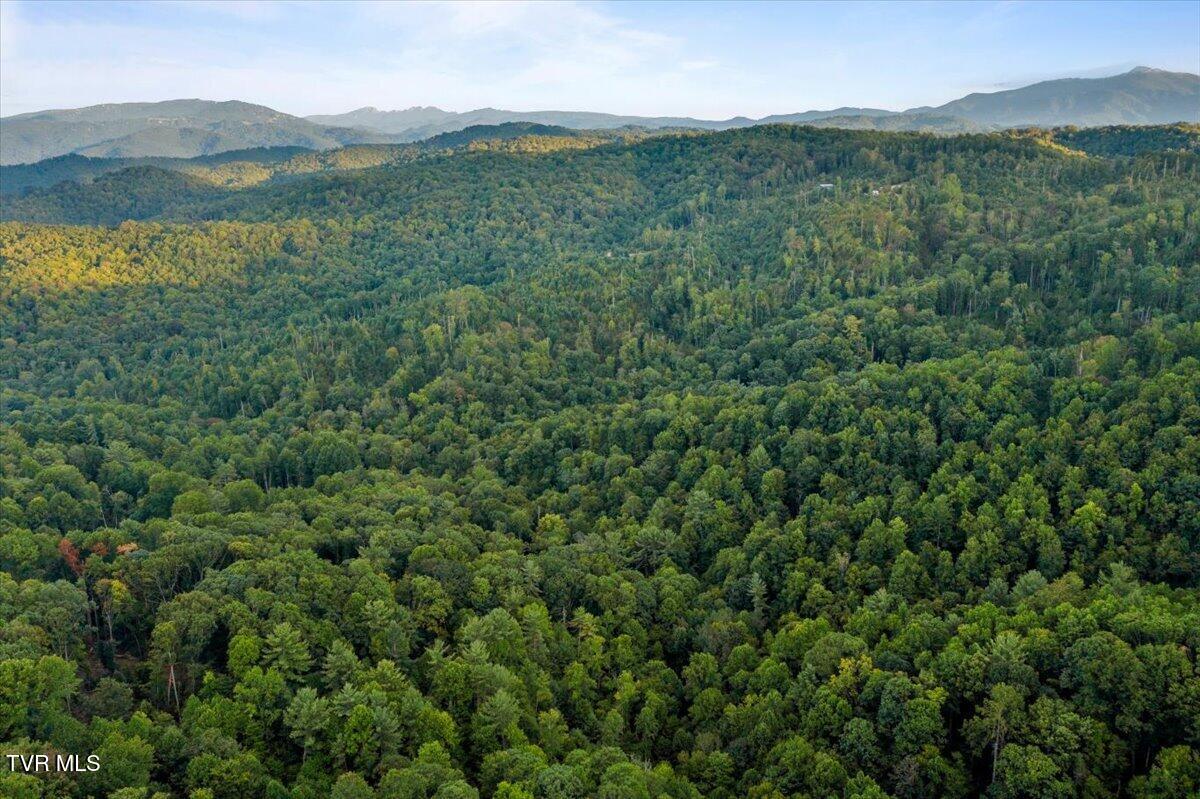 1259 Heaton Branch Road Butler, TN 37640 - Photo 10 of 20 03-DJI_0846