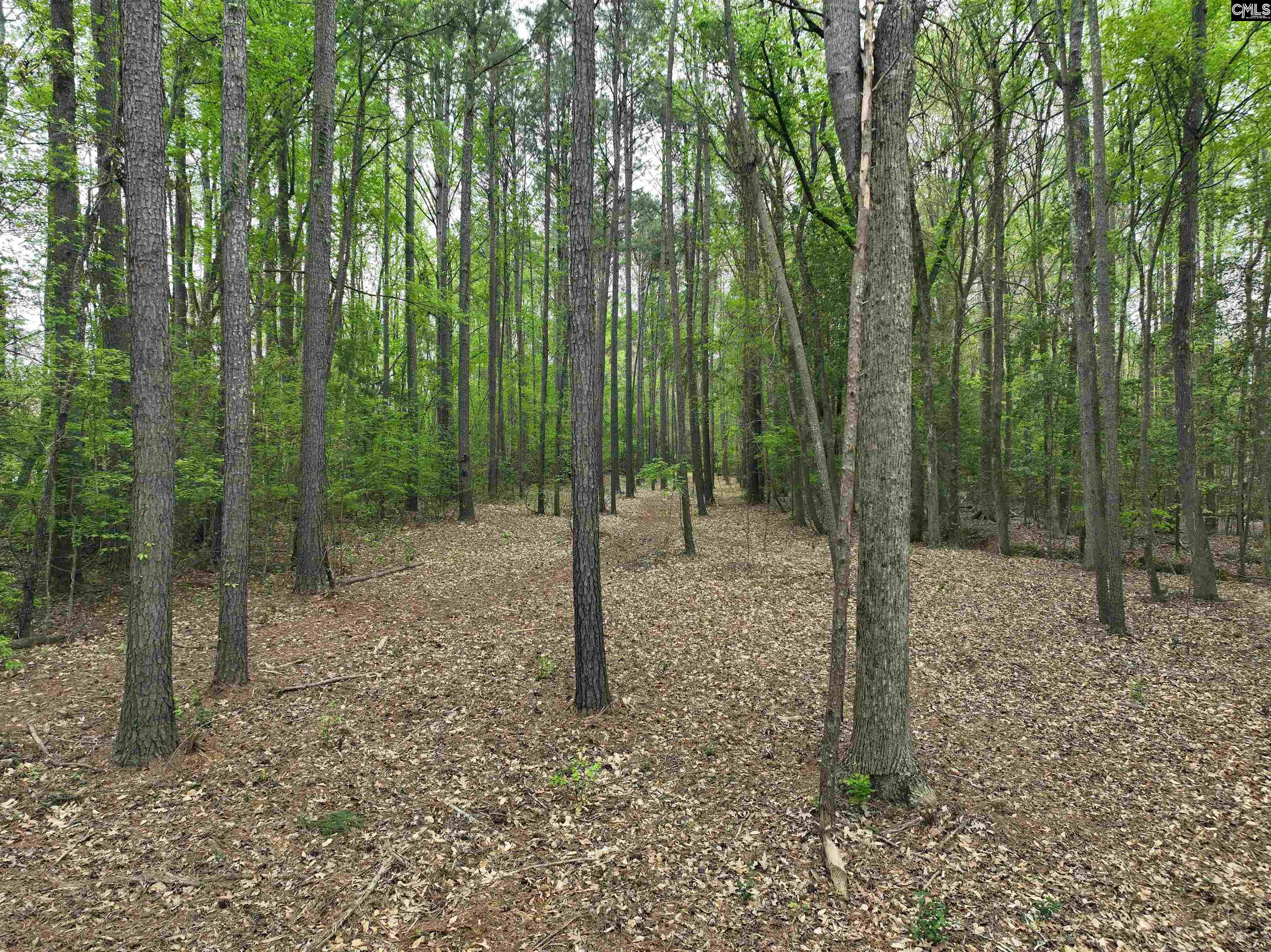 Tbd Fannie Black Road Prosperity, SC 29127 - Photo 8 of 28