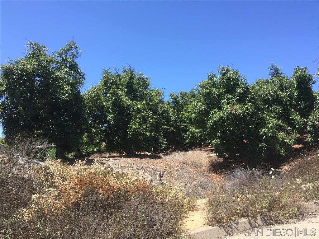 11 Double K Road Valley Center, CA 92082 - Photo 3 of 5