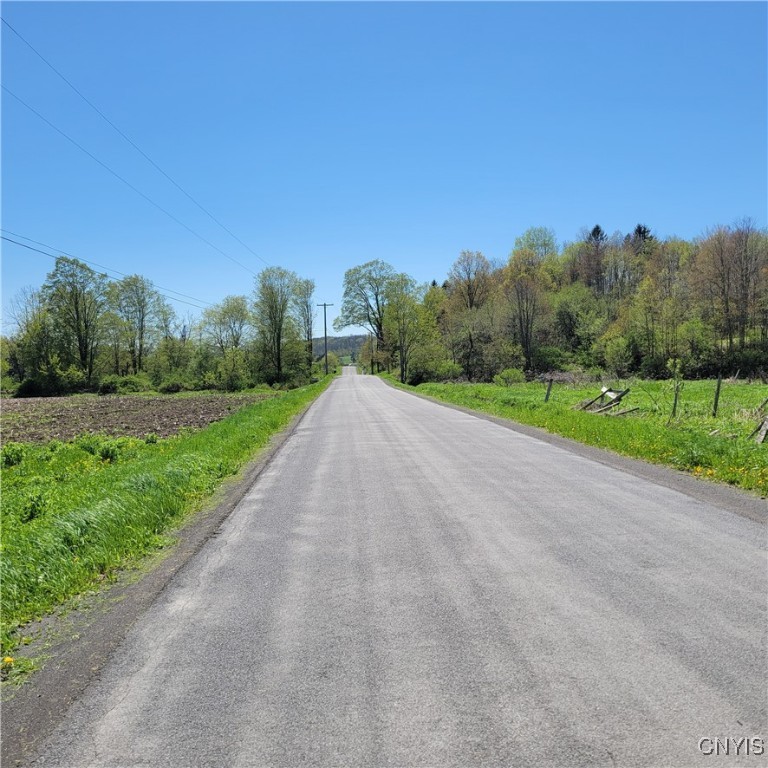 207 S Road Plainfield, NY 13491 - Photo 25 of 28