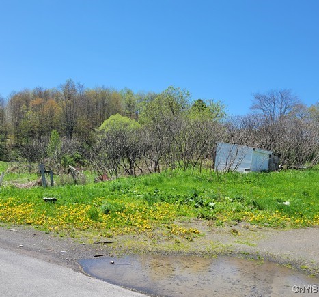 207 S Road Plainfield, NY 13491 - Photo 26 of 28