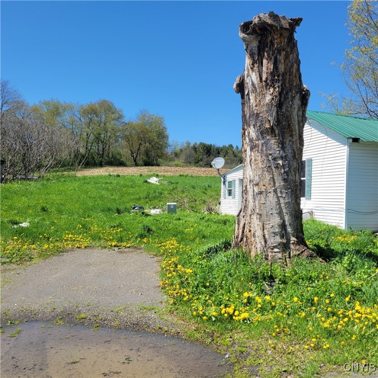 207 S Road Plainfield, NY 13491 - Photo 27 of 28