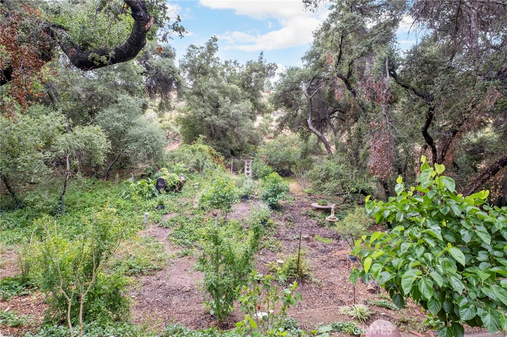 42185 Oak Canyon Road Hemet, CA 92544 - Photo 21 of 42 a view of a garden with plants and large trees