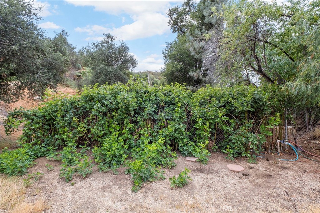 42185 Oak Canyon Road Hemet, CA 92544 - Photo 24 of 42 a view of a forest with trees in the background
