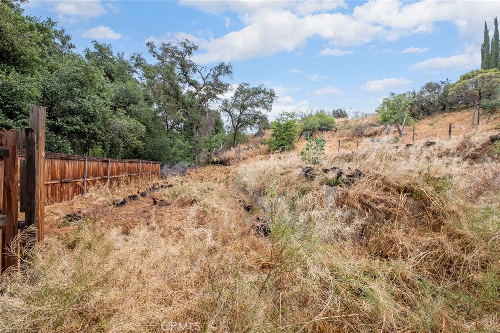 42185 Oak Canyon Road Hemet, CA 92544 - Photo 26 of 42 a view of a yard with a tree