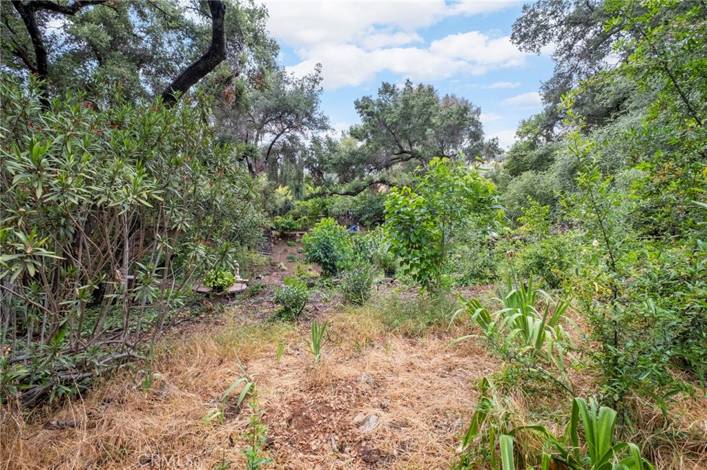 42185 Oak Canyon Road Hemet, CA 92544 - Photo 28 of 42 a view of a yard with plants and a bench