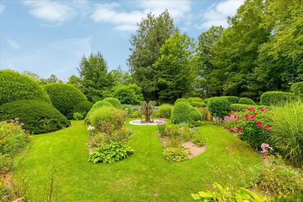 a view of a garden with plants