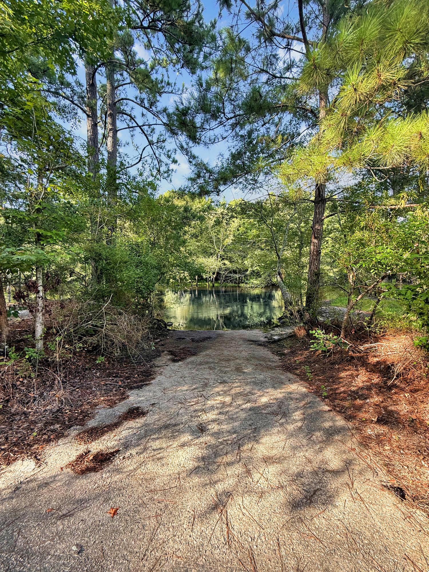 523 Hope Road Branchville, SC 29432 - Photo 23 of 24 IMG_2170
