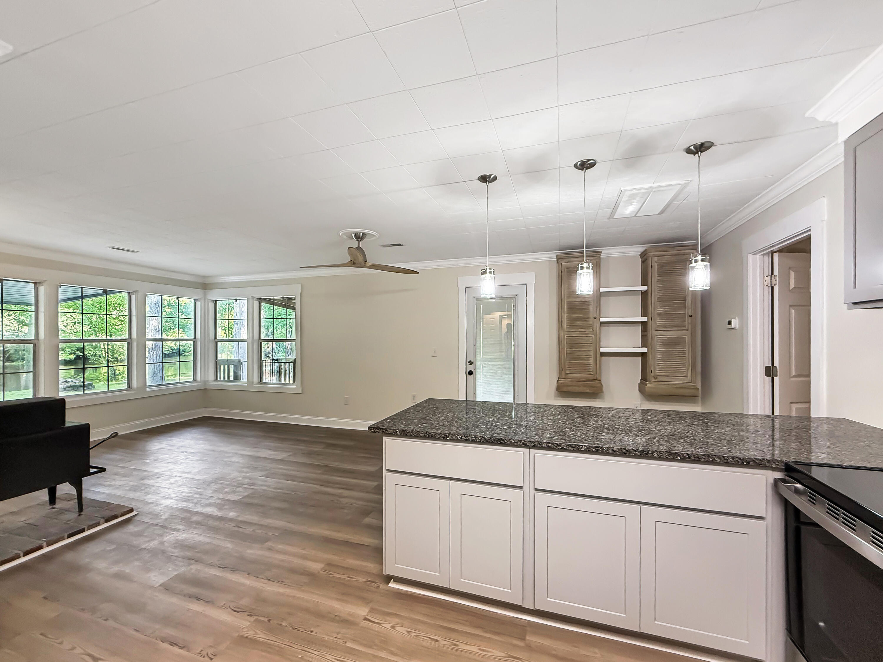 523 Hope Road Branchville, SC 29432 - Photo 7 of 24 IMG_2180