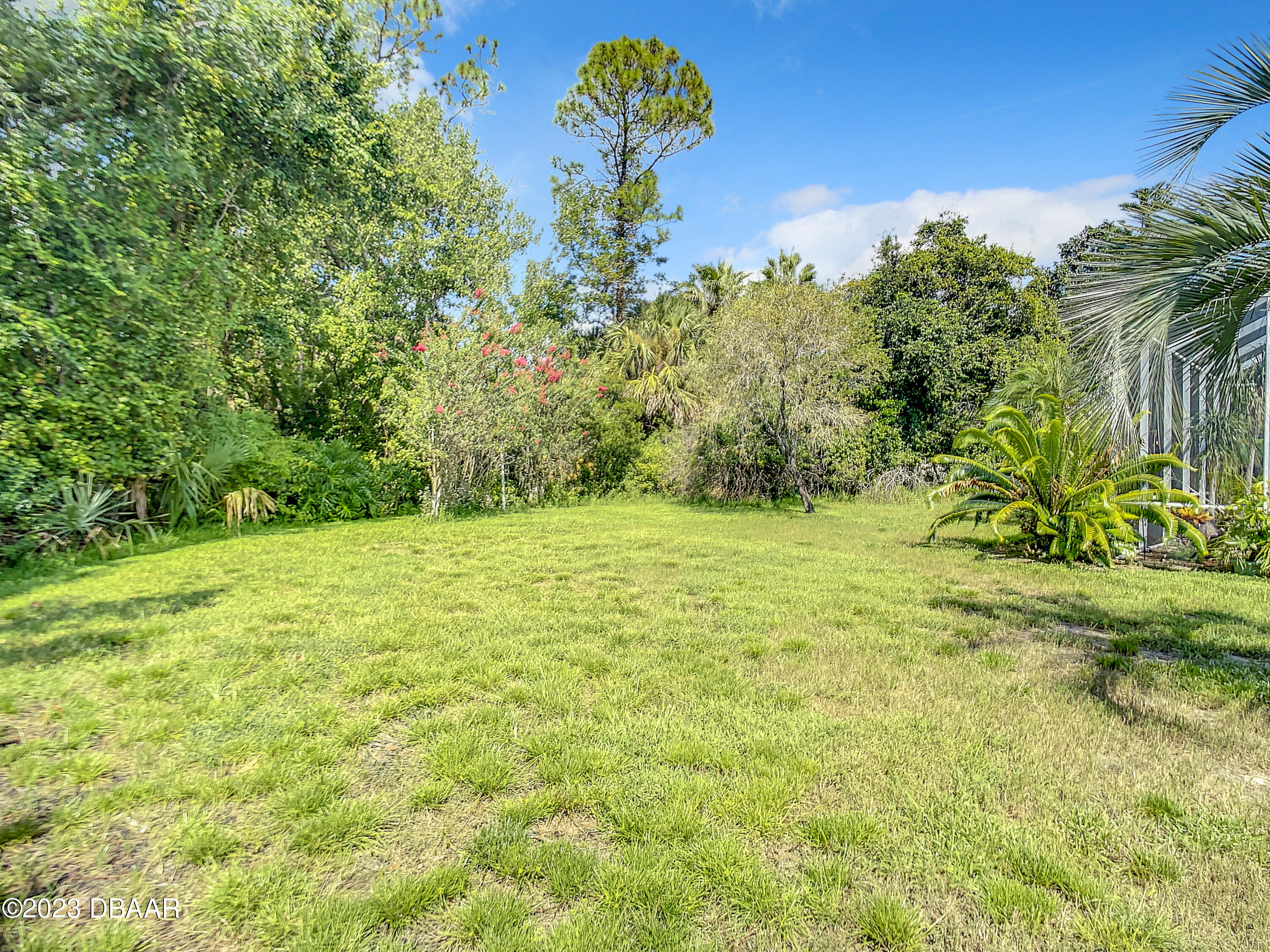 123 Deep Woods Way Ormond Beach, FL 32174 - Photo 59 of 66 a view of a yard with a tree