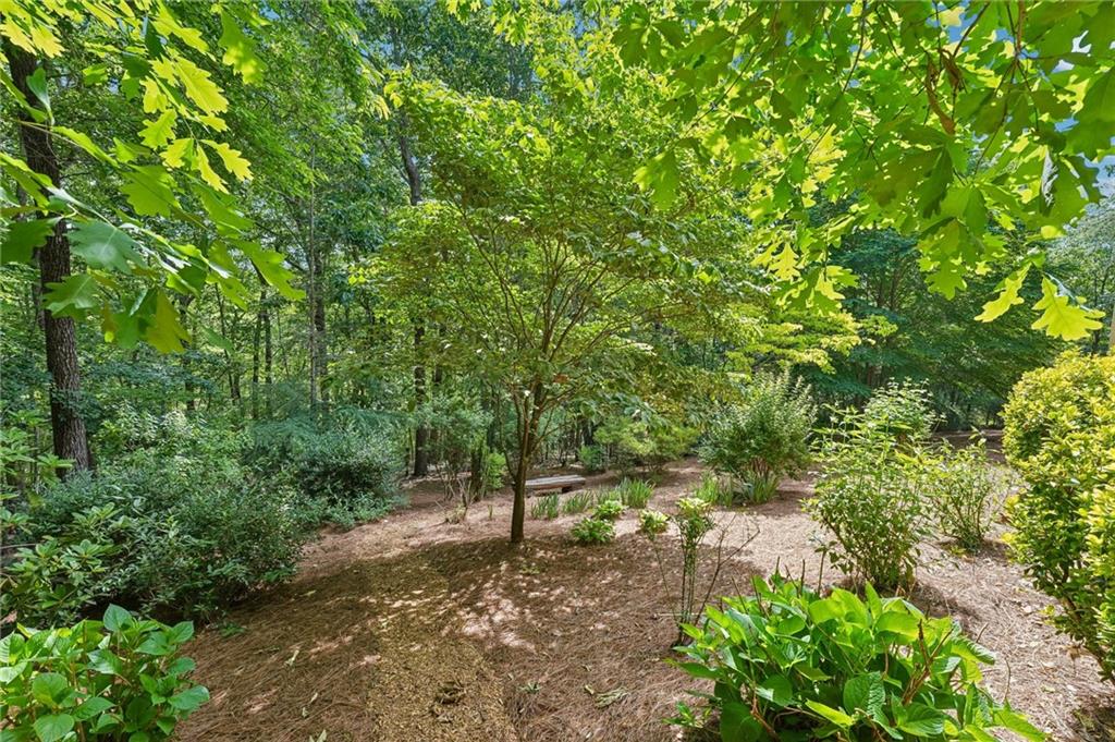 189 Red Trillium Ridge Big Canoe, GA 30143 - Photo 75 of 98