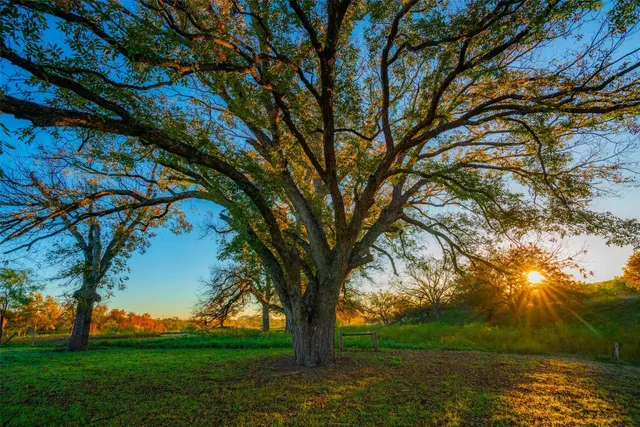 $849,000 | Undisclosed Address, Junction, TX 76849