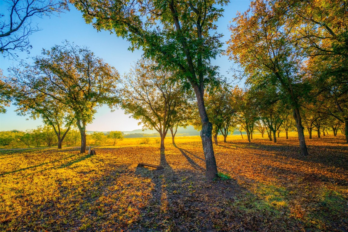 Undisclosed Address Junction, TX 76849 - Photo 14 of 37