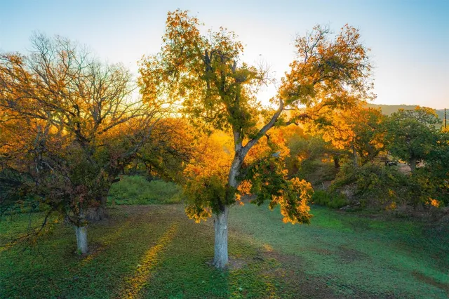 $849,000 | Undisclosed Address, Junction, TX 76849