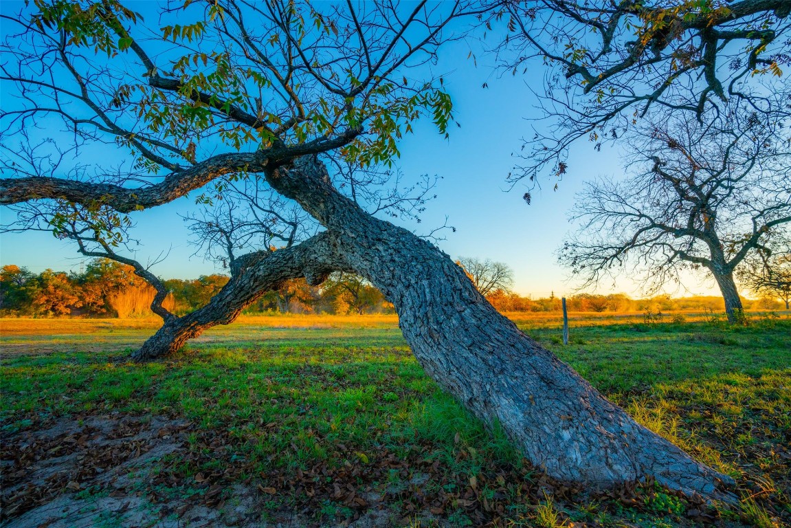 Undisclosed Address Junction, TX 76849 - Photo 10 of 37
