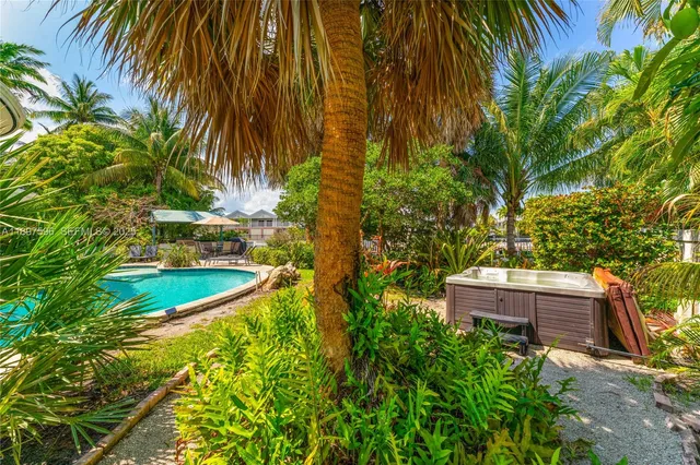 a view of a backyard with plants