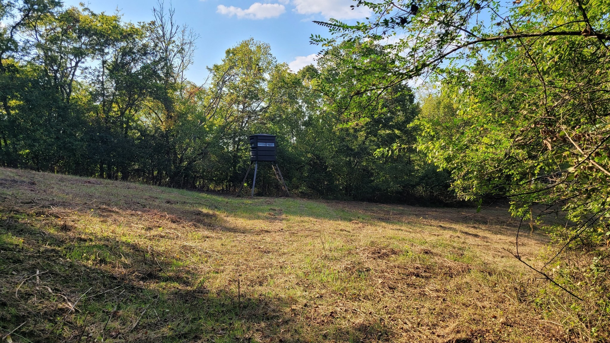 48 Hannah Branch Road Petersburg, TN 37144 - Photo 8 of 12 Gallery Image 8