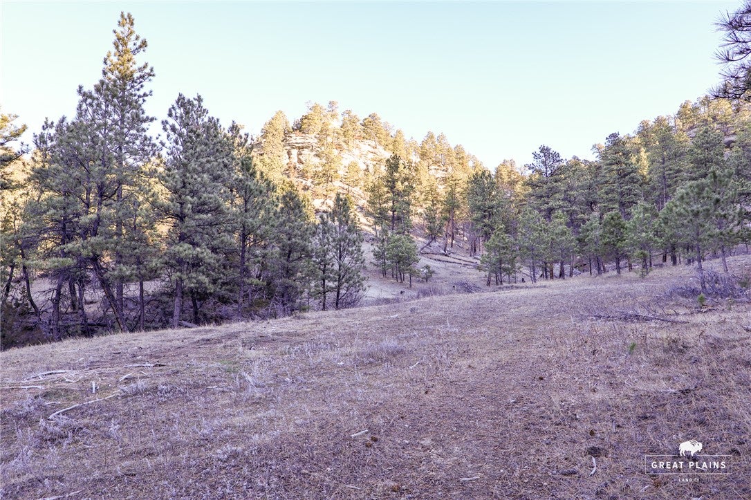 51 Buckskin Road Roundup, MT 59072 - Photo 29 of 34 Gallery Image 29