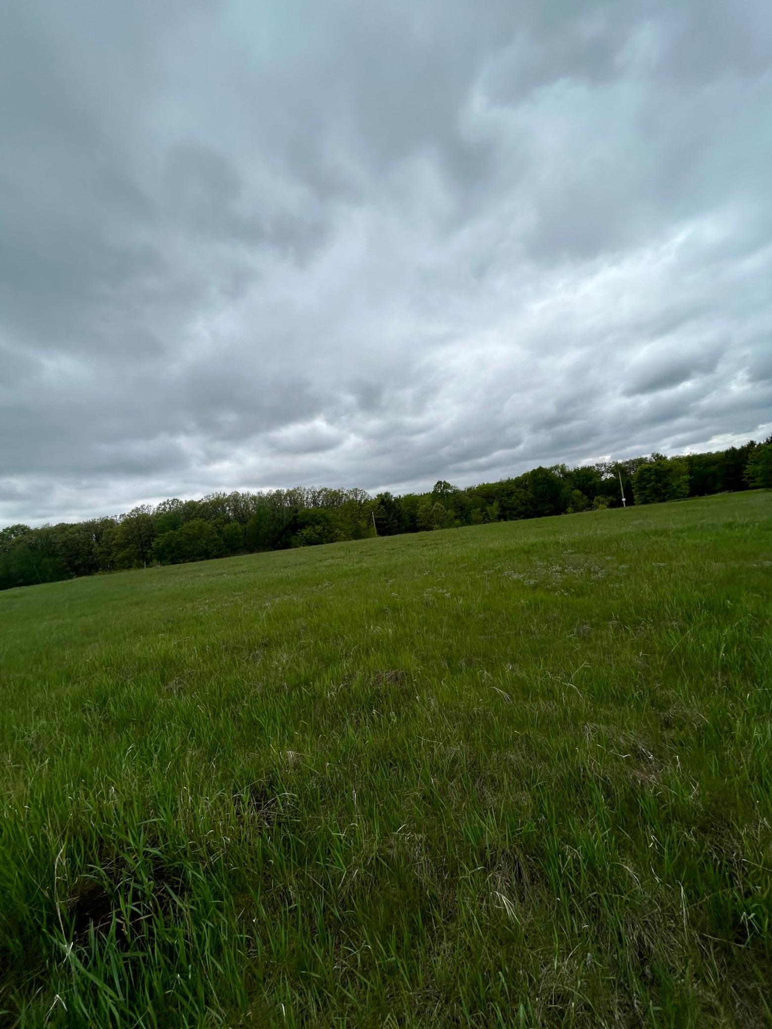 Xxx Calico Trail Motley, MN 56466 - Photo 3 of 33