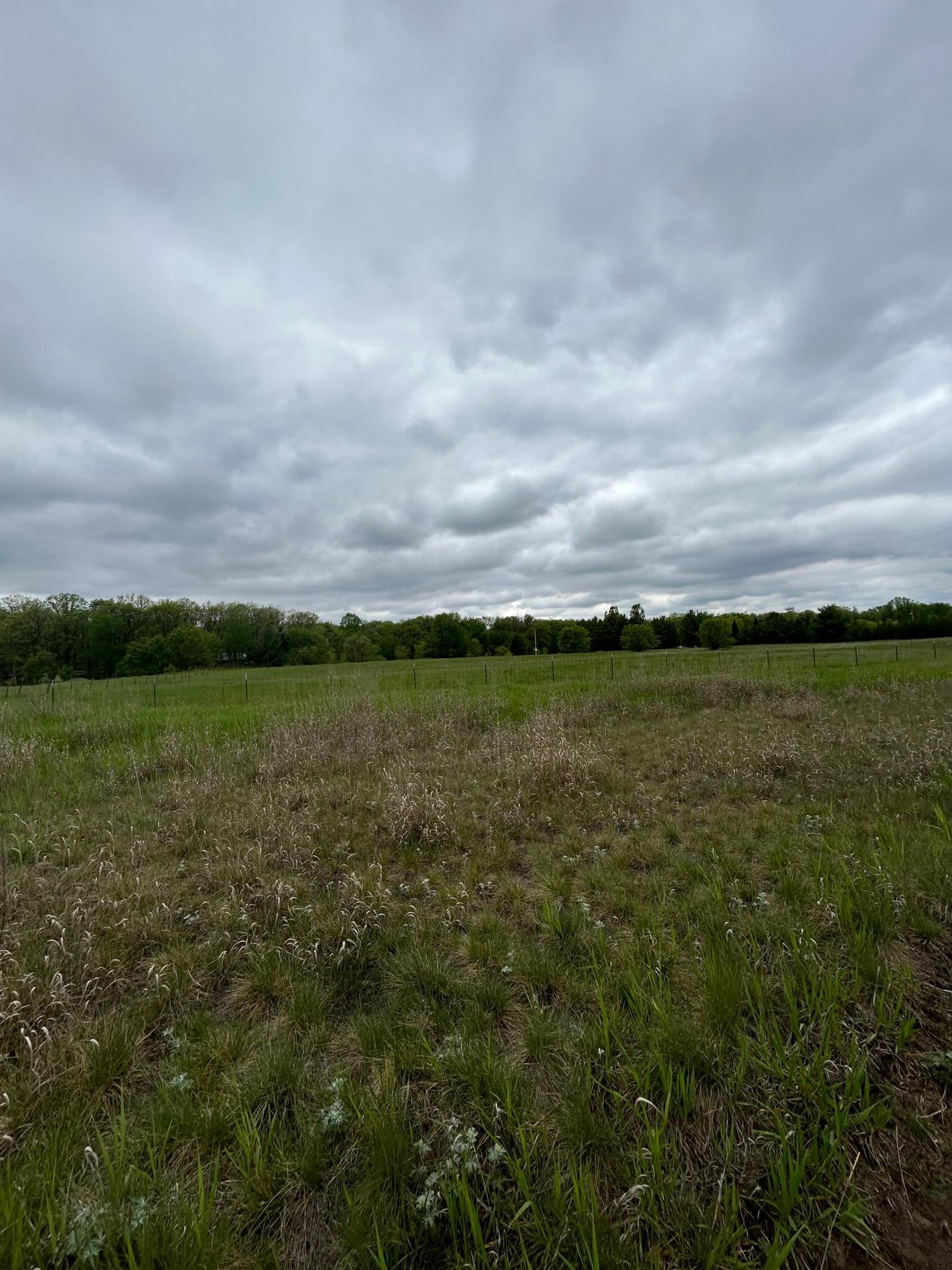 Xxx Calico Trail Motley, MN 56466 - Photo 4 of 33