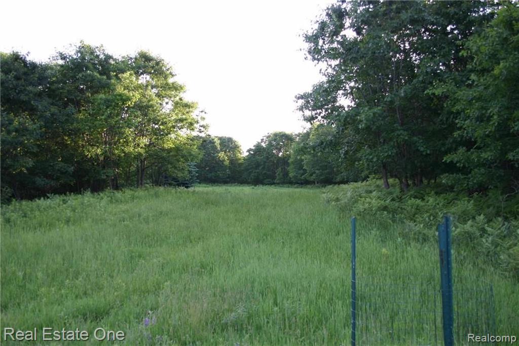 V/l Ritchie & Hubbard Lake Spruce, MI 48762 - Photo 11 of 11 Gallery Image 11